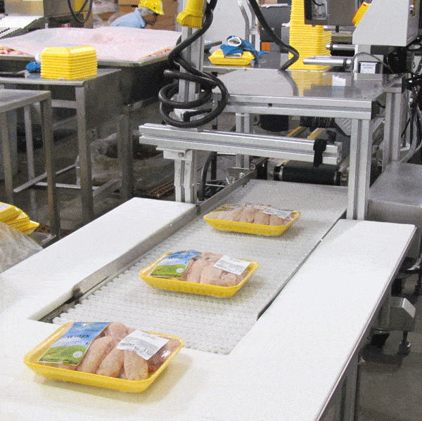 TRAY PACK LINE